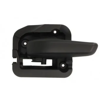 Poignet de porte, équipment intérieur avant gauche BLIC 6010-02-004409PP