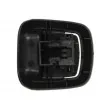 Poignet de porte, équipment intérieur avant droit BLIC 6010-03-046408C - Visuel 2