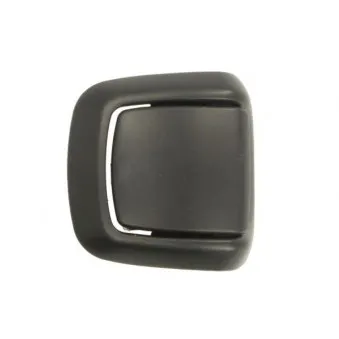 Poignet de porte, équipment intérieur avant gauche BLIC 6010-03-046409C