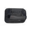 Poignet de porte, équipment intérieur arrière gauche BLIC 6010-04-004409TP - Visuel 1
