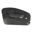 Poignet de porte, équipment intérieur arrière gauche BLIC 6010-04-040409TP - Visuel 1