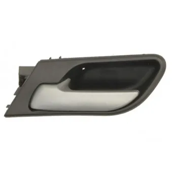 Poignet de porte, équipment intérieur avant gauche BLIC 6010-05-015409P