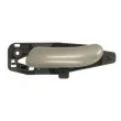 Poignet de porte, équipment intérieur avant gauche BLIC 6010-07-030409P - Visuel 1