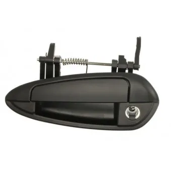 Poignée extérieure de porte avant gauche BLIC 6010-07-036401PPK