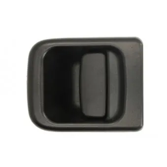 Poignée extérieure de porte avant gauche BLIC 6010-09-032401PP
