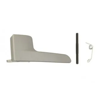 Poignet de porte, équipment intérieur avant gauche BLIC 6010-10-010409PPP