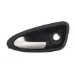 Poignet de porte, équipment intérieur avant gauche BLIC 6010-10-016401P - Visuel 1