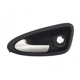 Poignet de porte, équipment intérieur avant gauche BLIC 6010-10-016401P