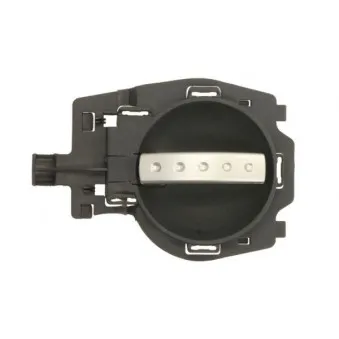 Poignet de porte, équipment intérieur avant gauche BLIC 6010-21-021409P