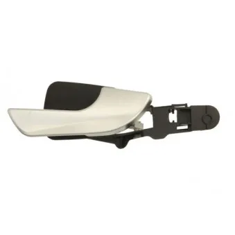 Poignet de porte, équipment intérieur arrière droit BLIC 6010-22-017408PP