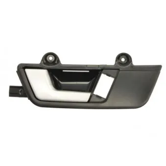 Poignet de porte, équipment intérieur avant gauche BLIC 6010-25-031409P
