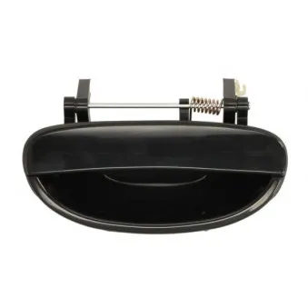 Poignée extérieure de porte arrière gauche BLIC 6010-42-005403P