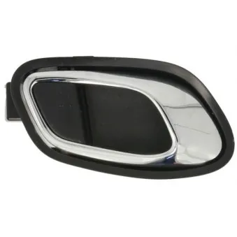 Poignet de porte, équipment intérieur avant droit BLIC 6010-53-043408PP