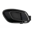 Poignet de porte, équipment intérieur arrière droit BLIC 6010-53-043408TP - Visuel 1