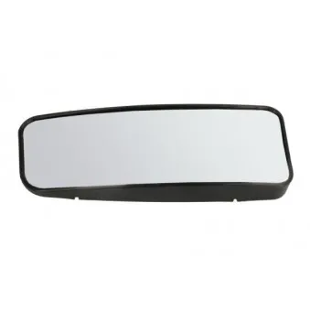 Verre de rétroviseur, rétroviseur extérieur BLIC 6102-02-1217992P