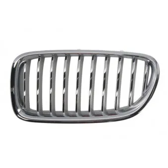 Grille de radiateur avant gauche BLIC 6502-07-0067997CP
