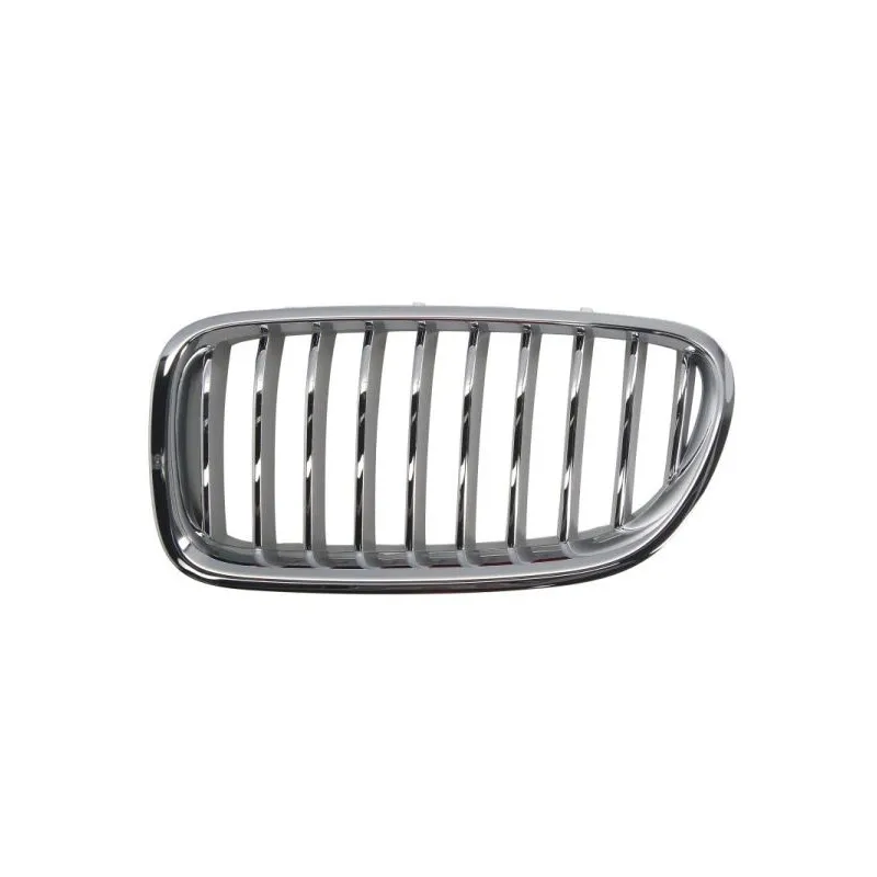 Grille de radiateur avant gauche BLIC 6502-07-0067997CP