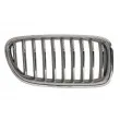 Grille de radiateur avant droit BLIC 6502-07-0067998CP - Visuel 1