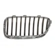 Grille de radiateur avant droit BLIC 6502-07-0067998CP - Visuel 2