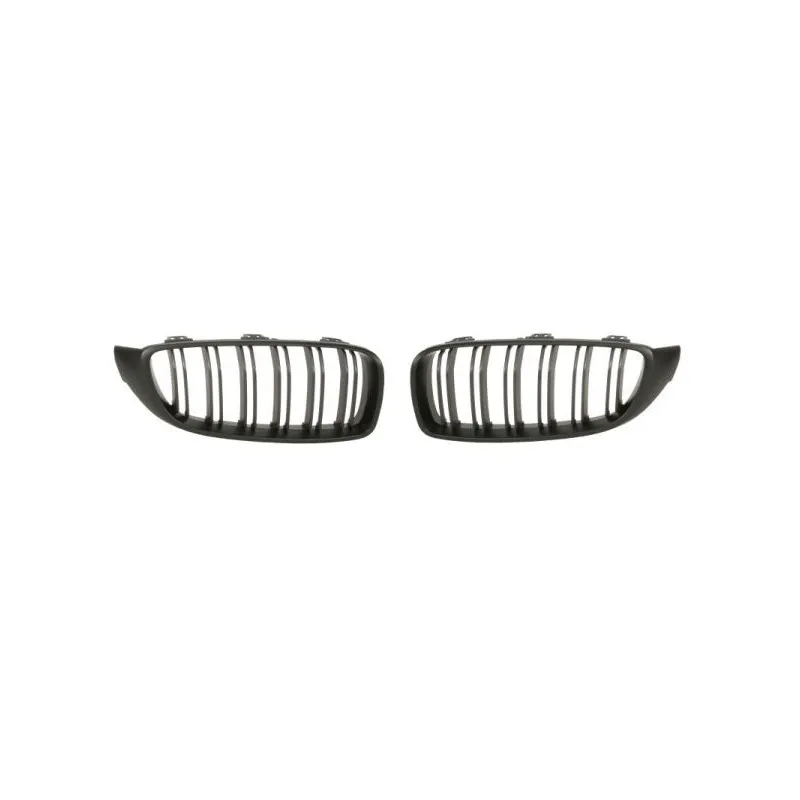 Grille de radiateur BLIC 6502-07-0070991KP