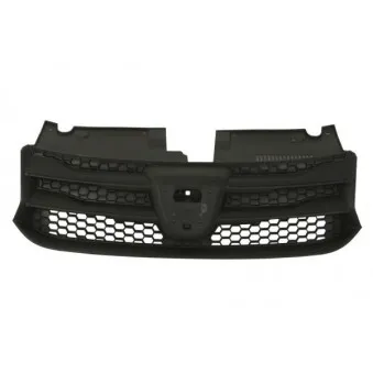 Grille de radiateur BLIC 6502-07-1303990Q
