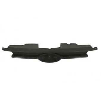 Grille de radiateur BLIC 6502-07-2512991P