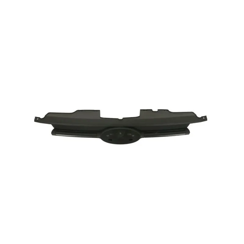 Grille de radiateur BLIC 6502-07-2512991P