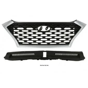Grille de radiateur BLIC 6502-07-3178990P
