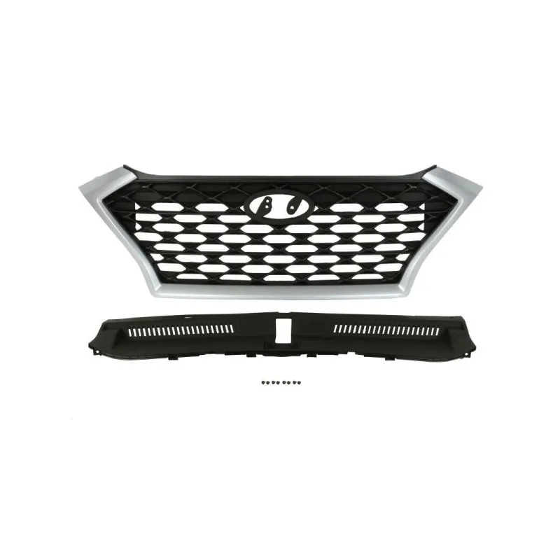 Grille de radiateur BLIC 6502-07-3178990P