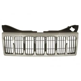 Grille de radiateur BLIC 6502-07-3205993P