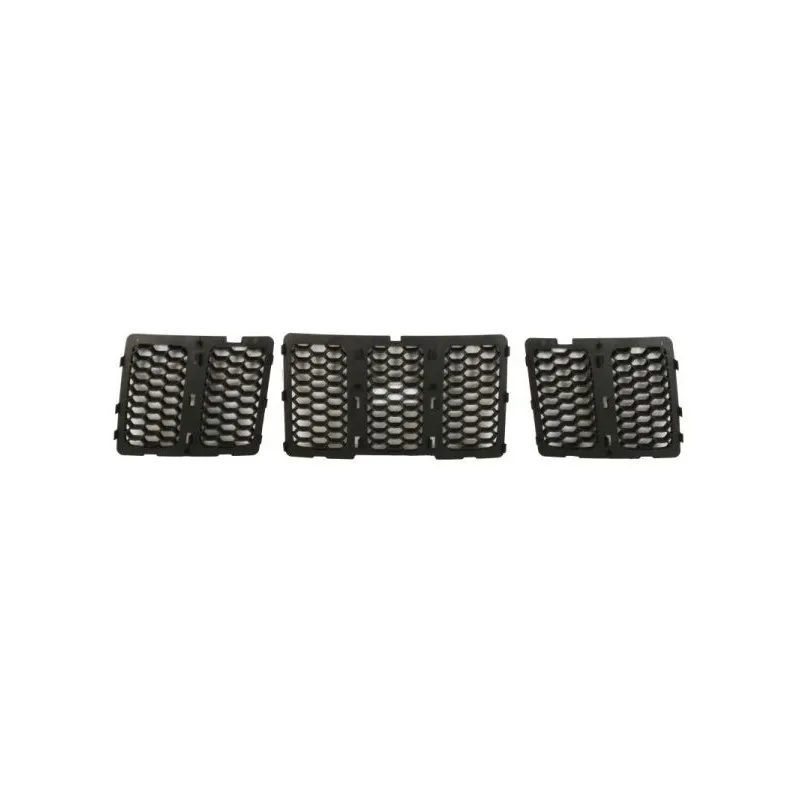 Grille de radiateur BLIC 6502-07-3206992BP