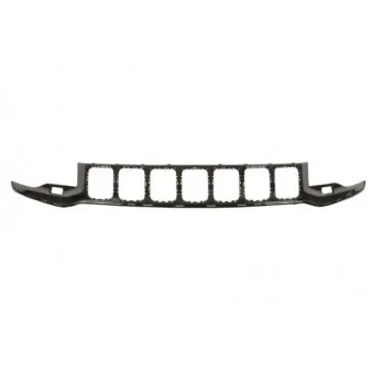 Grille de radiateur BLIC