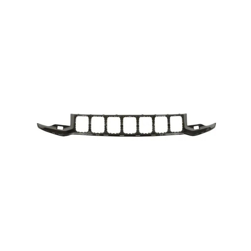 Grille de radiateur BLIC 6502-07-3207901P