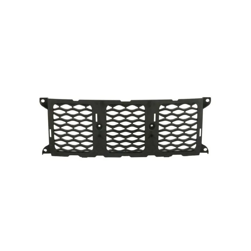 Grille de radiateur BLIC 6502-07-3207995P