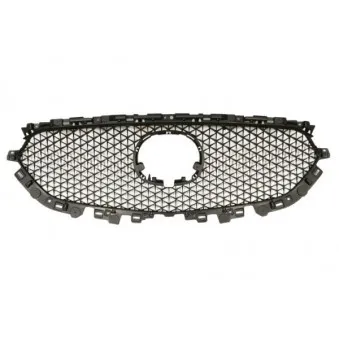Grille de radiateur BLIC 6502-07-3496991P