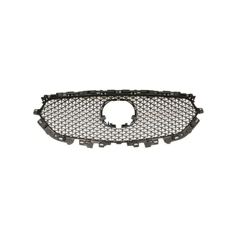 Grille de radiateur BLIC 6502-07-3496991P