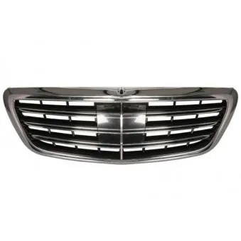 Grille de radiateur BLIC 6502-07-3510990KP