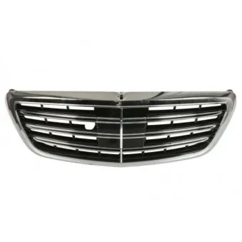 Grille de radiateur BLIC 6502-07-3510991KP