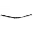 Baguette et bande protectrice, grille de radiateur BLIC 6502-07-3529990P - Visuel 2