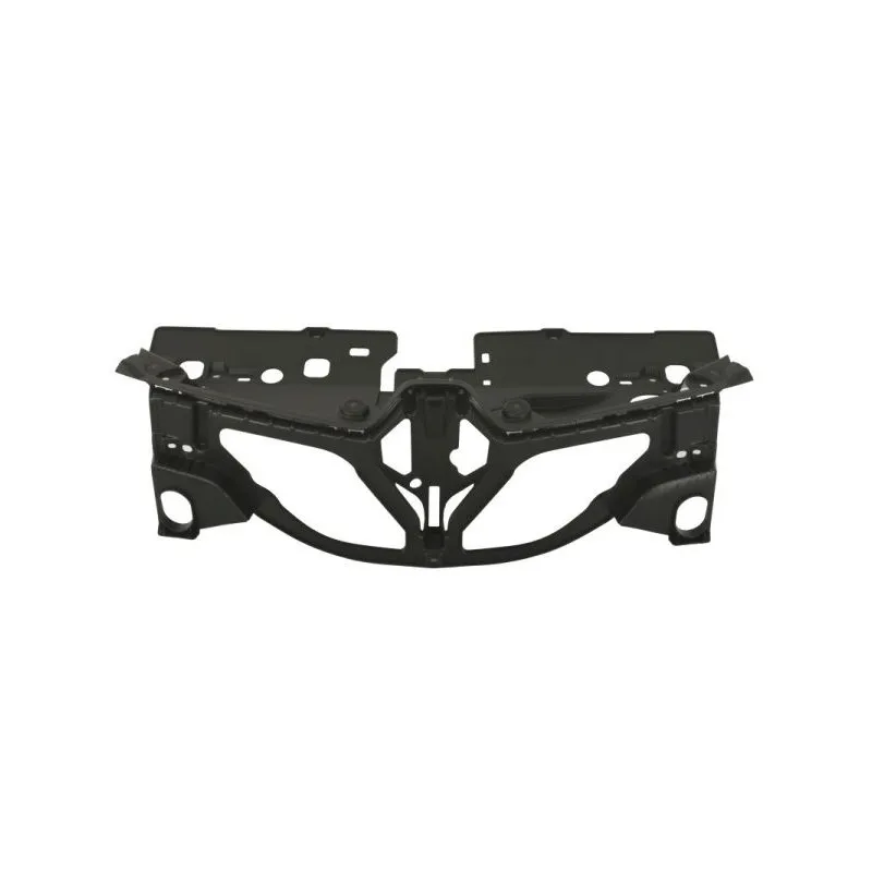 Grille de radiateur BLIC 6502-07-6012991P