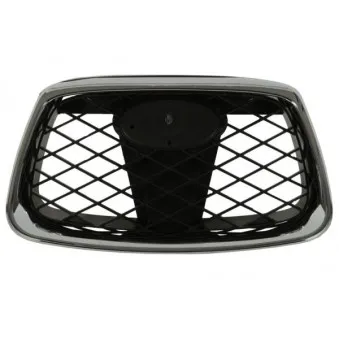 Grille de radiateur BLIC 6502-07-6733990CP