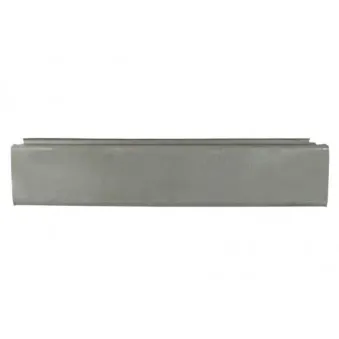 Panneau latéral BLIC 6505-06-9560001P