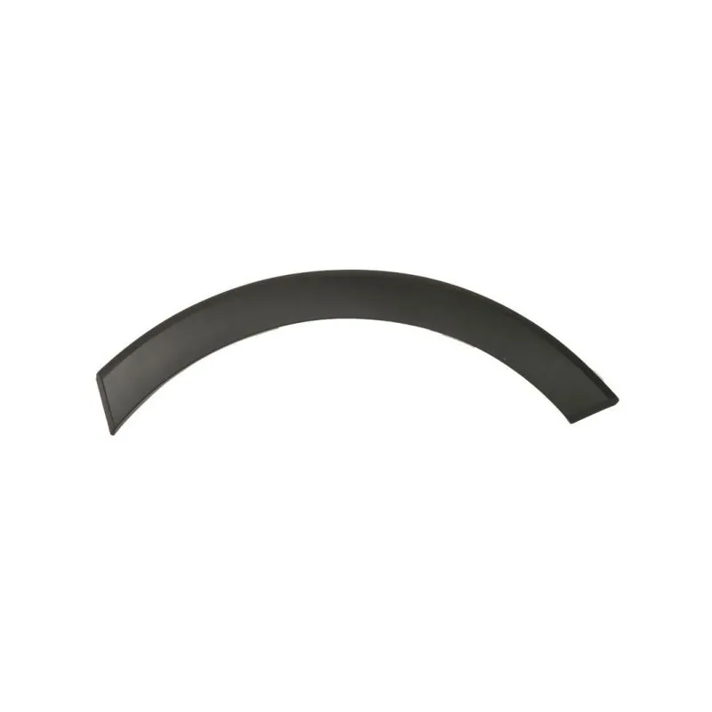 Baguette et bande protectrice, aile avant droit BLIC 6601-02-2518422P