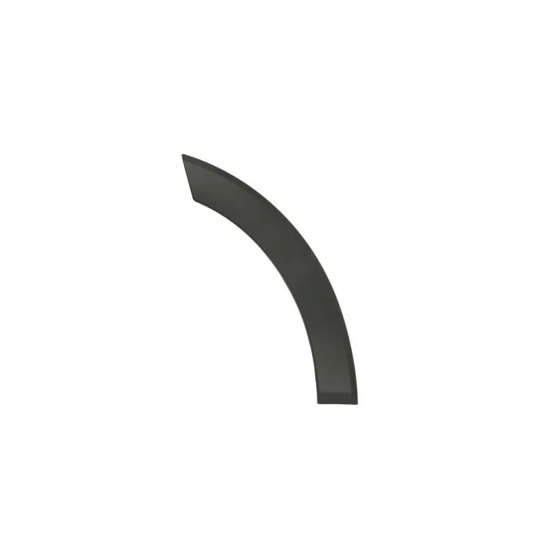 Baguette et bande protectrice, porte avant gauche BLIC 6601-02-2518423P