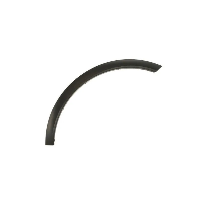 Baguette et bande protectrice, aile avant droit BLIC 6601-02-3536422P