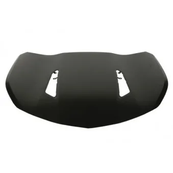 Capot-moteur BLIC 6803-00-1196281P