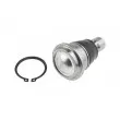Rotule de suspension avant TEKNÖR ZSD-NS-034 - Visuel 2