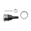 Rotule de suspension avant TEKNÖR ZSD-NS-005 - Visuel 3