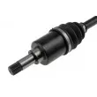 Arbre de transmission avant gauche TEKNÖR NPW-CT-065 - Visuel 2