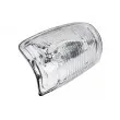 Feu clignotant TEKNÖR ELP-FR-012 - Visuel 1
